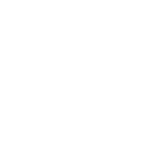 GST IT support